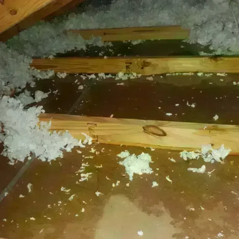 Attic Water Damage in Benton County, AR